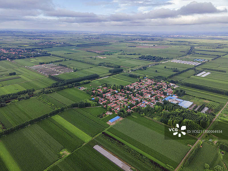 希望的田野图片素材