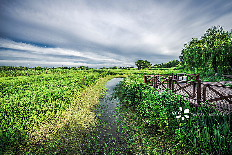 大运河森林公园图片素材