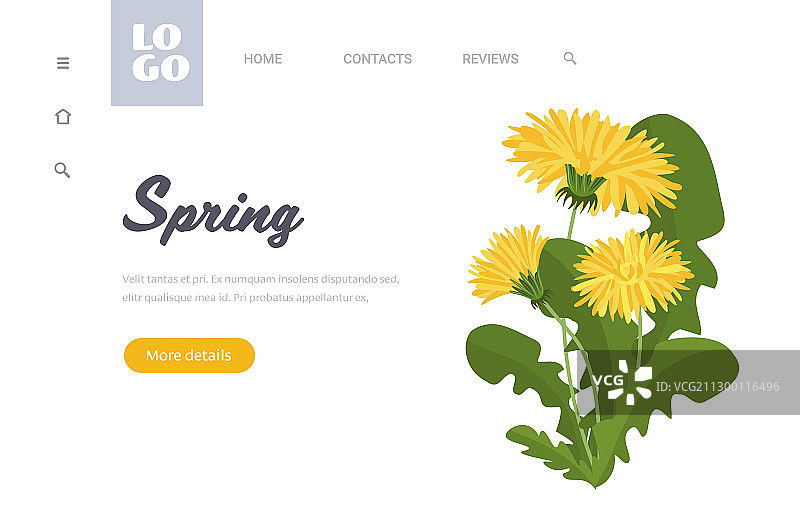 春季的黄色蒲公英花与绿叶图片素材