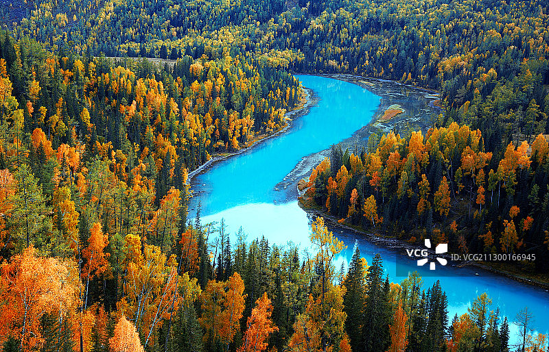 喀纳斯秋色图片素材