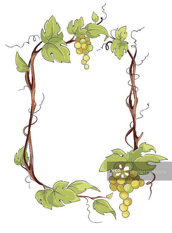 白葡萄相框图片素材