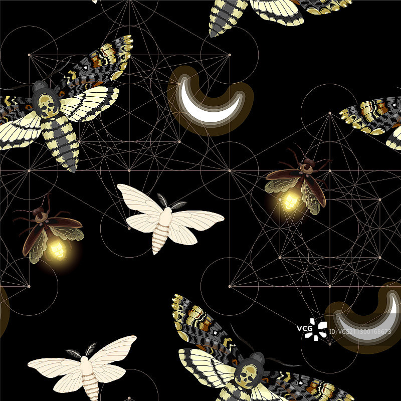 鬼脸天蛾图案图片素材