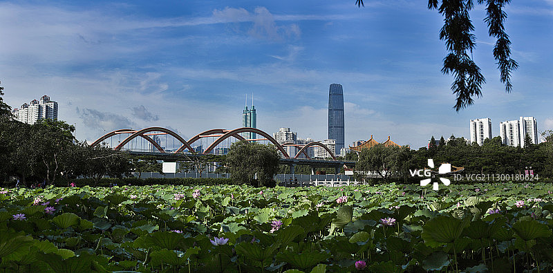 洪湖公园全景图图片素材