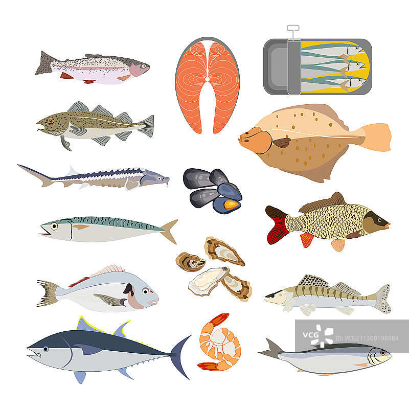 健康鱼类食品图片素材