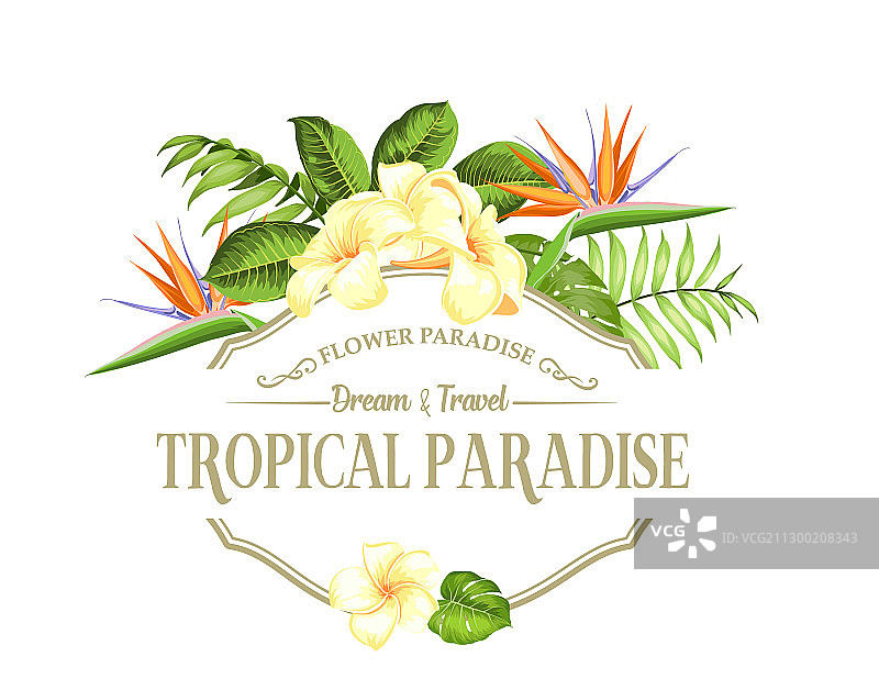 天堂鸟花环卡片图片素材