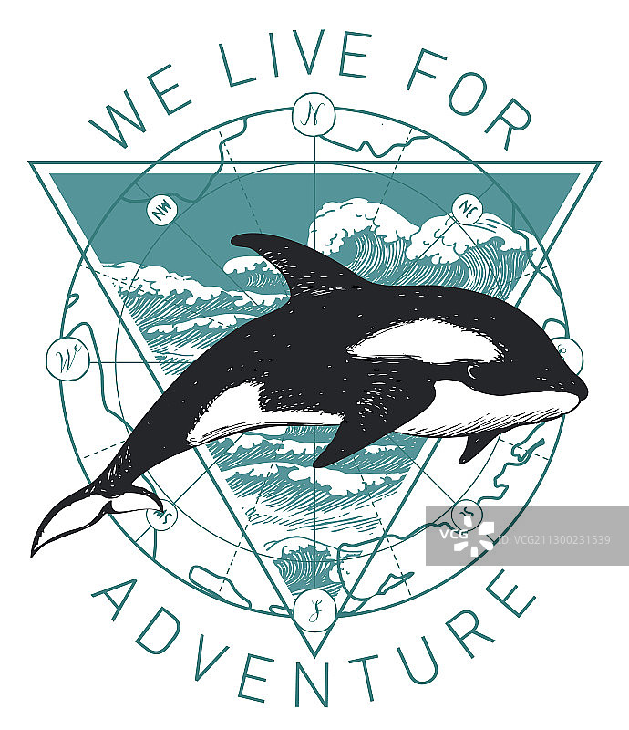 具有手绘虎鲸和海浪的banner图片素材