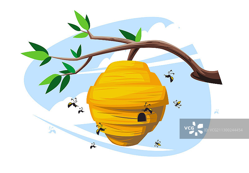带有蜂巢的树枝图片素材
