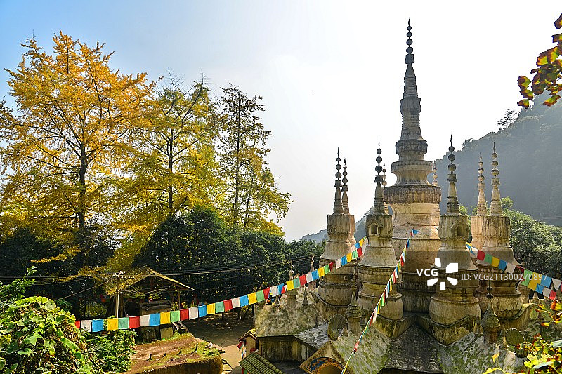 金黄色的秋天。成都周末观赏银杏最佳热门景区，大邑白岩寺图片素材
