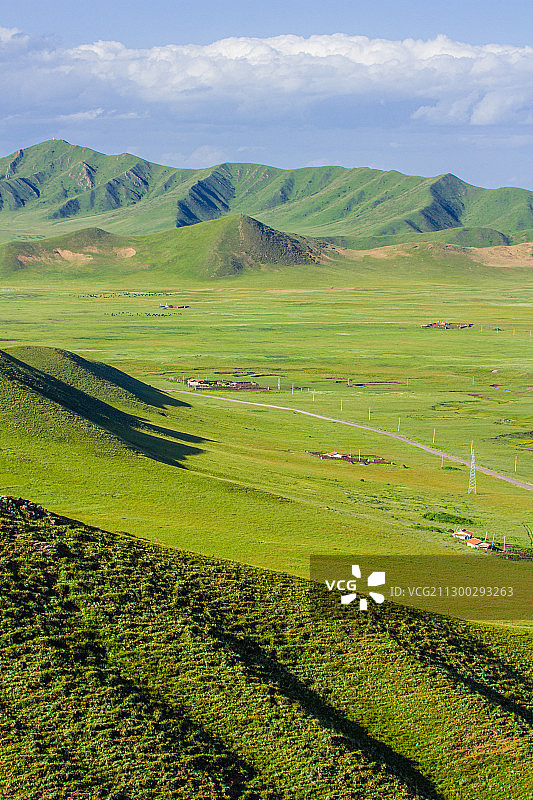 唐克大草原图片素材