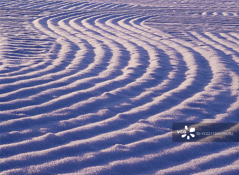 被雪覆盖的田野图片素材