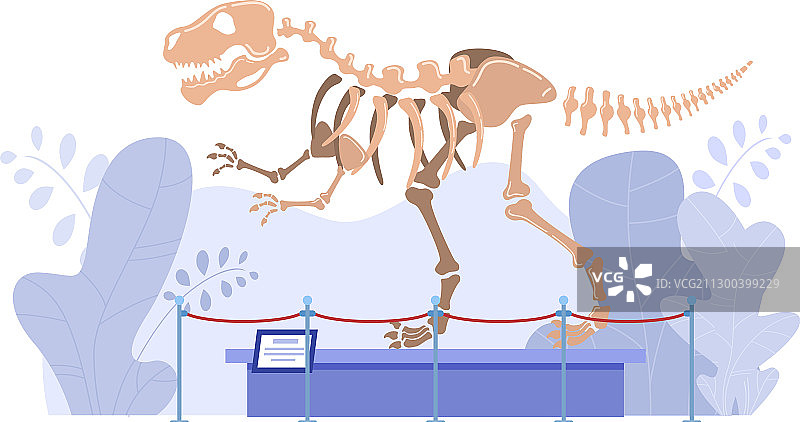 自然历史博物馆中的恐龙骨骼图片素材