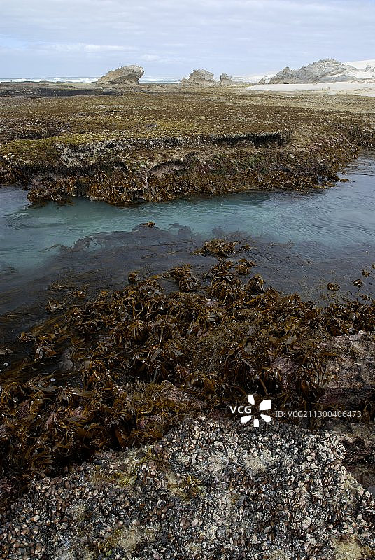 潮间带滩涂图片素材