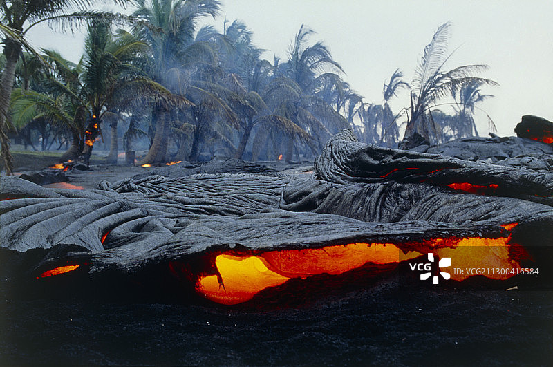 夏威夷燃烧树木的熔岩图片素材