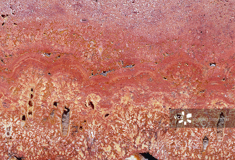 意大利洞石凝灰岩切割面图片素材