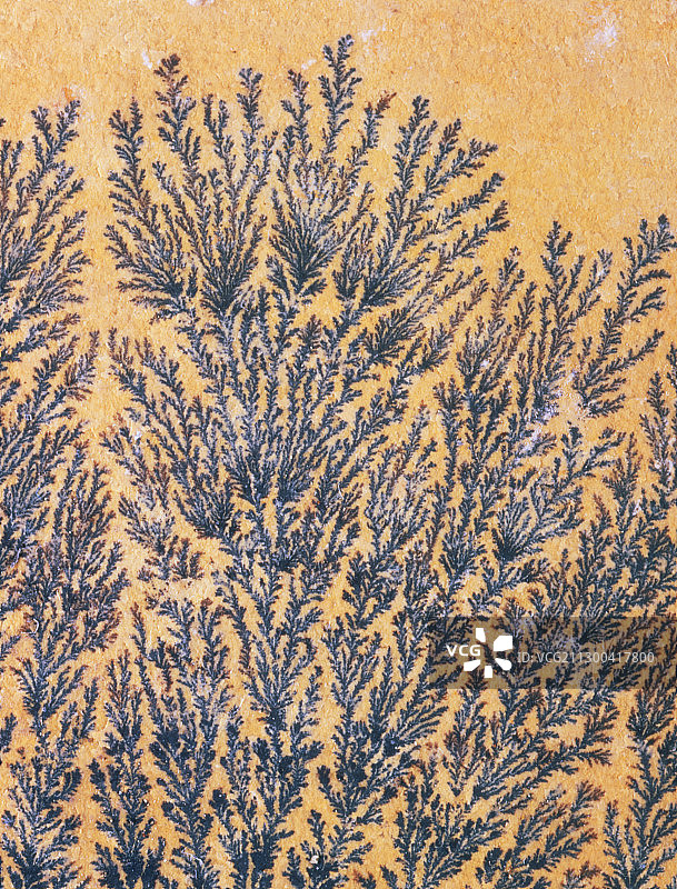 锰树枝状晶体图片素材