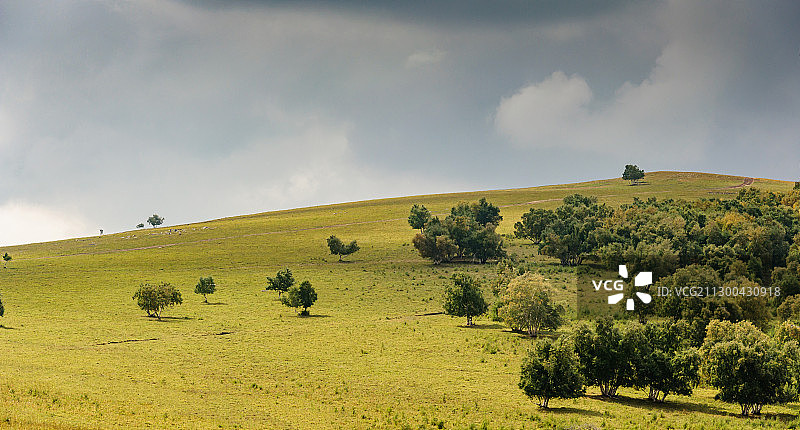 初秋黄岗梁图片素材