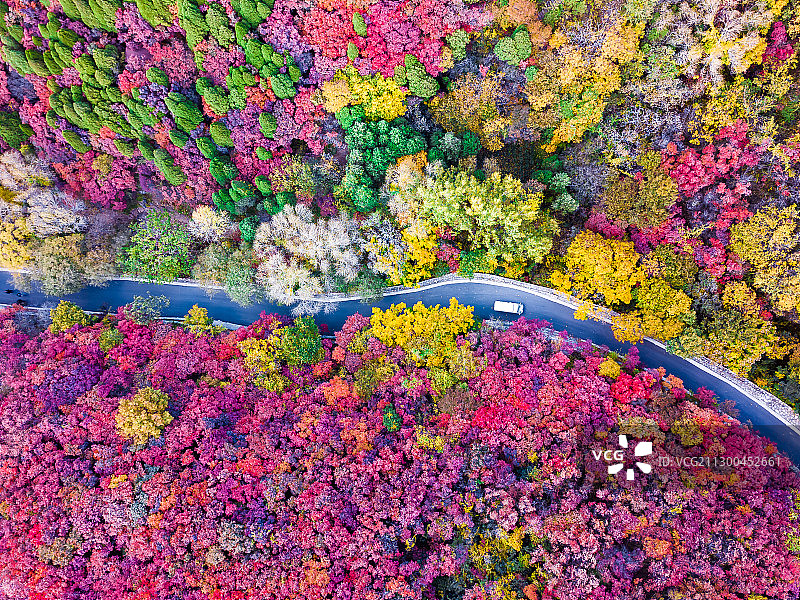 山东济南红叶谷秋景图片素材