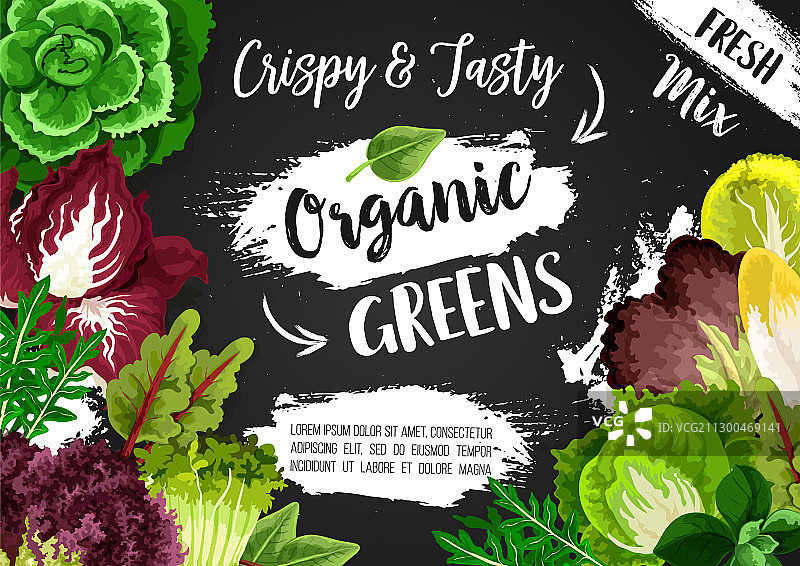 绿色蔬菜沙拉和蔬菜生菜图片素材