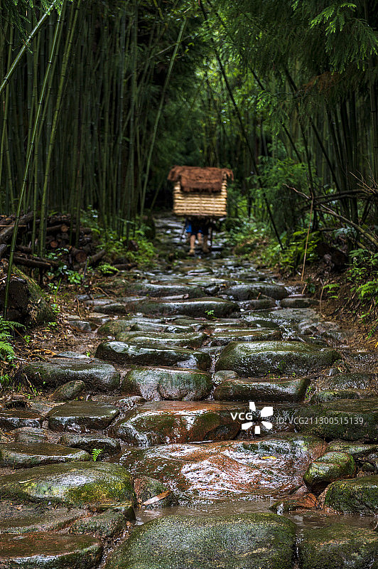 茶马古道图片素材