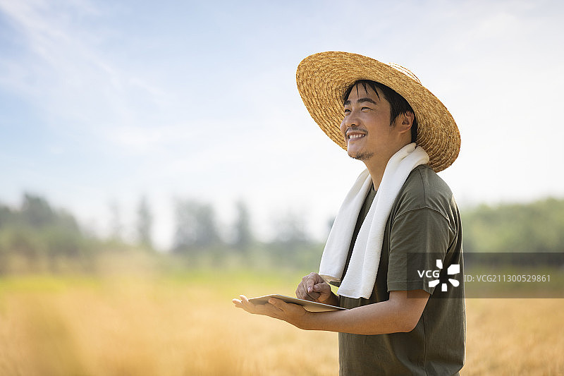 农民在麦田里使用平板电脑图片素材