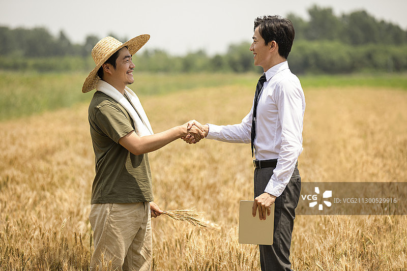 农民和商务男士在麦田里握手图片素材