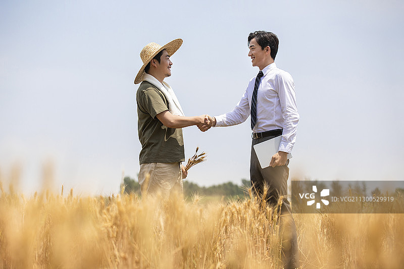农民和商务男士在麦田里握手图片素材