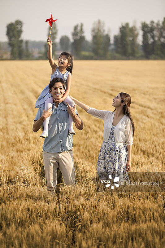 快乐的年轻家庭在麦田里玩耍图片素材