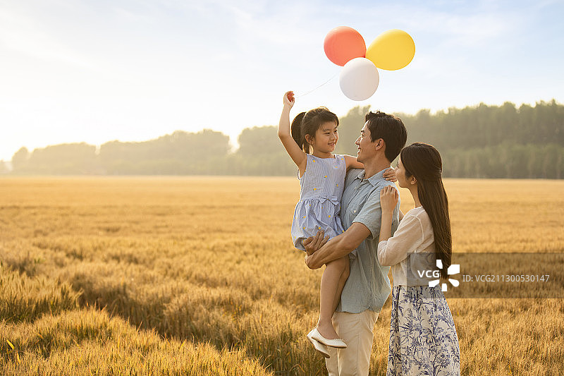 快乐的年轻家庭在麦田里玩耍图片素材