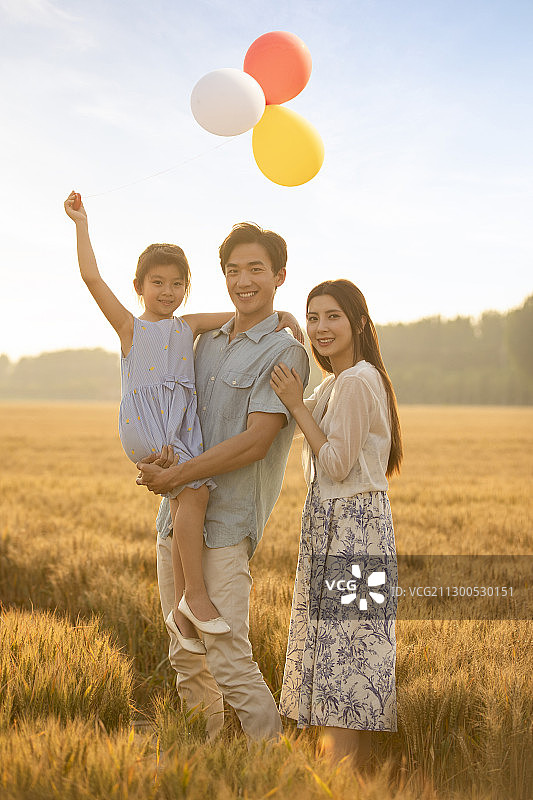 快乐的年轻家庭在麦田里玩耍图片素材