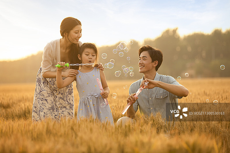 快乐的年轻家庭在麦田里吹泡泡图片素材
