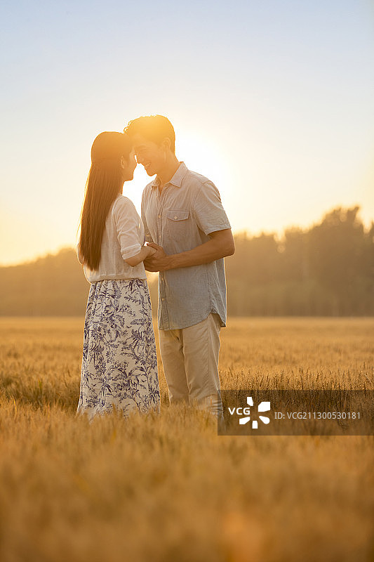 快乐的年轻情侣在麦田约会图片素材