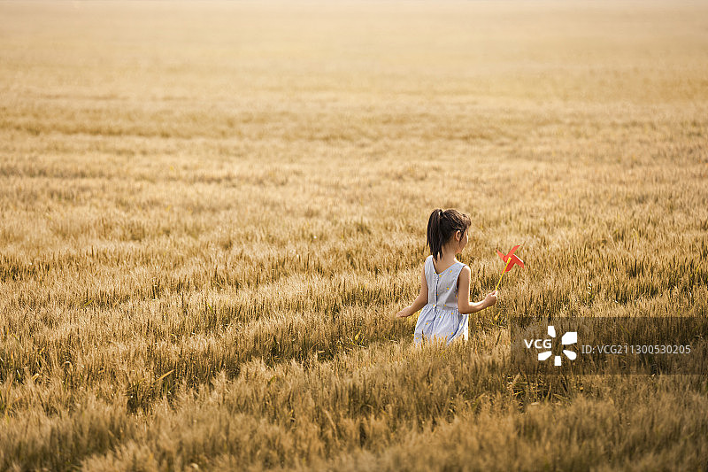 小女孩在麦田里玩风车玩具图片素材
