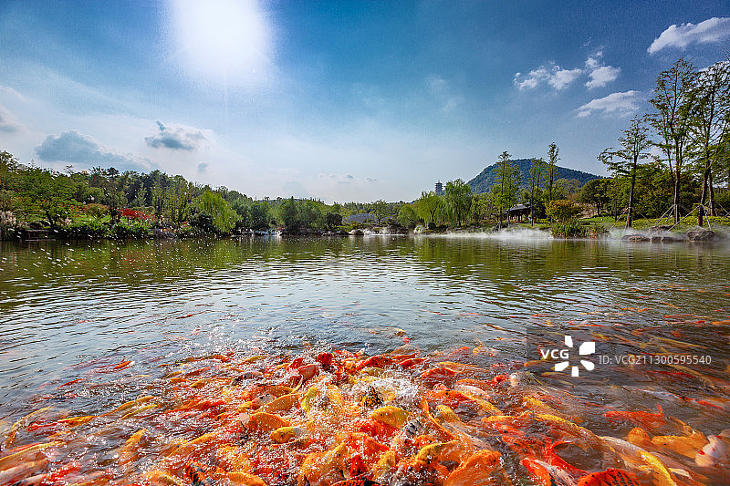 鱼跃龙门+牛首山（南京）图片素材