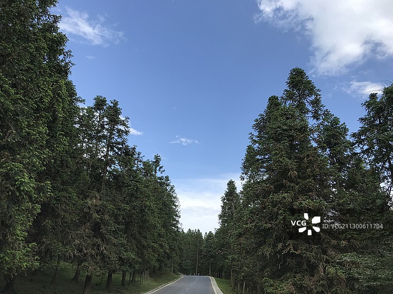 森林公园图片素材