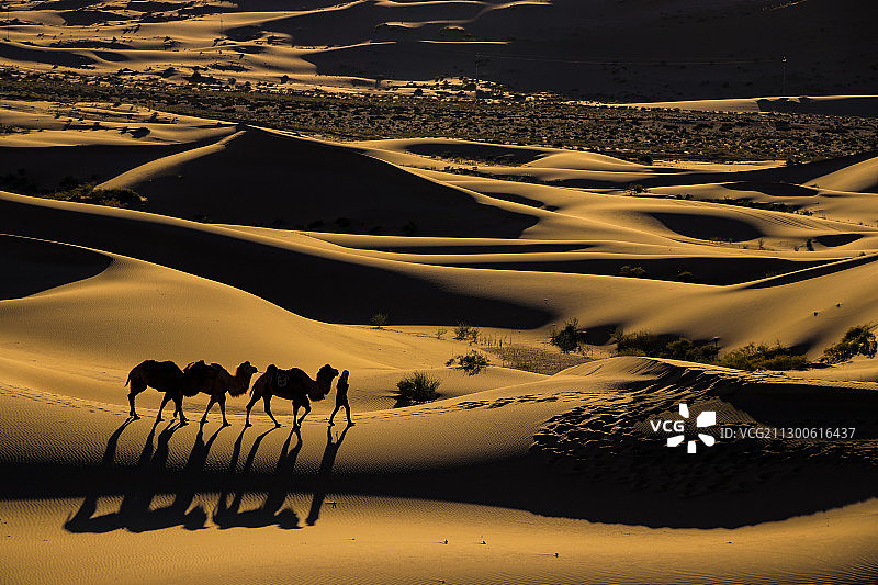 沙漠行图片素材