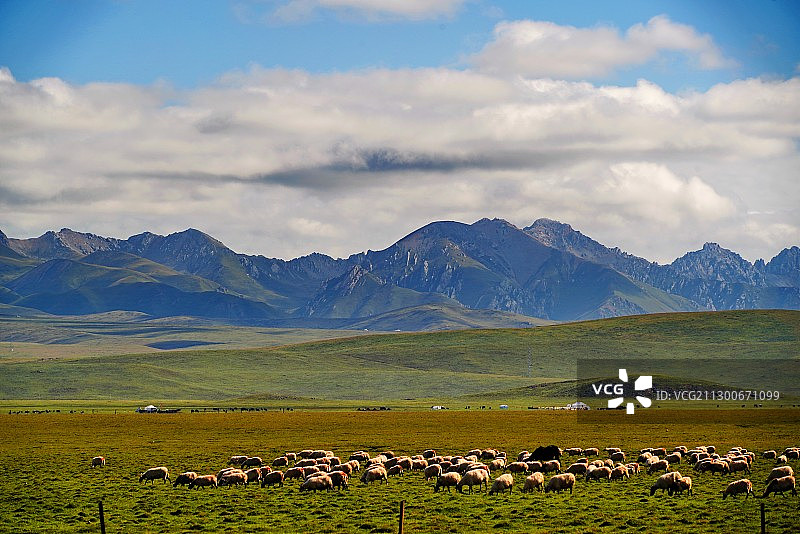 四川：若尔盖草原图片素材