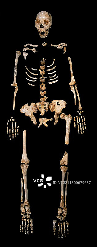 化石遗骸，人骨坑图片素材