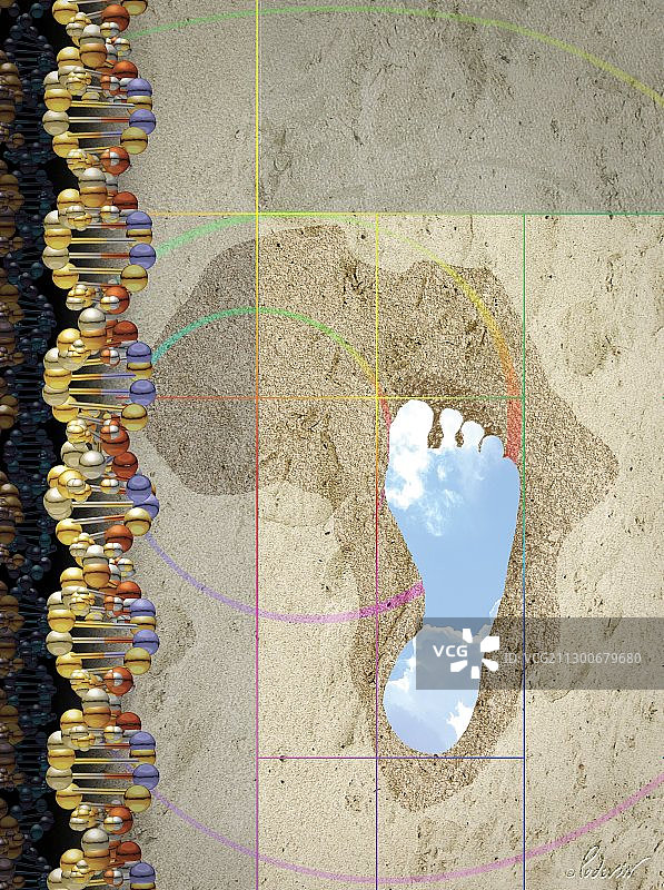 人类进化概念艺术图片素材