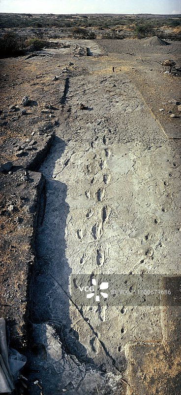 原始人足迹图片素材