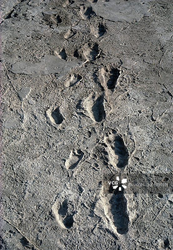 莱托里足迹图片素材