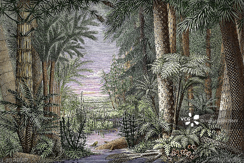 石炭纪地貌图片素材