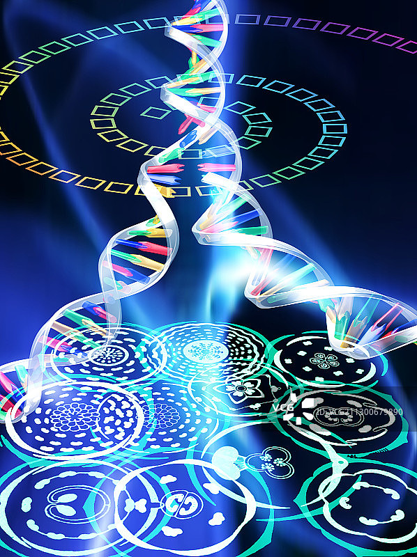 植物进化图片素材