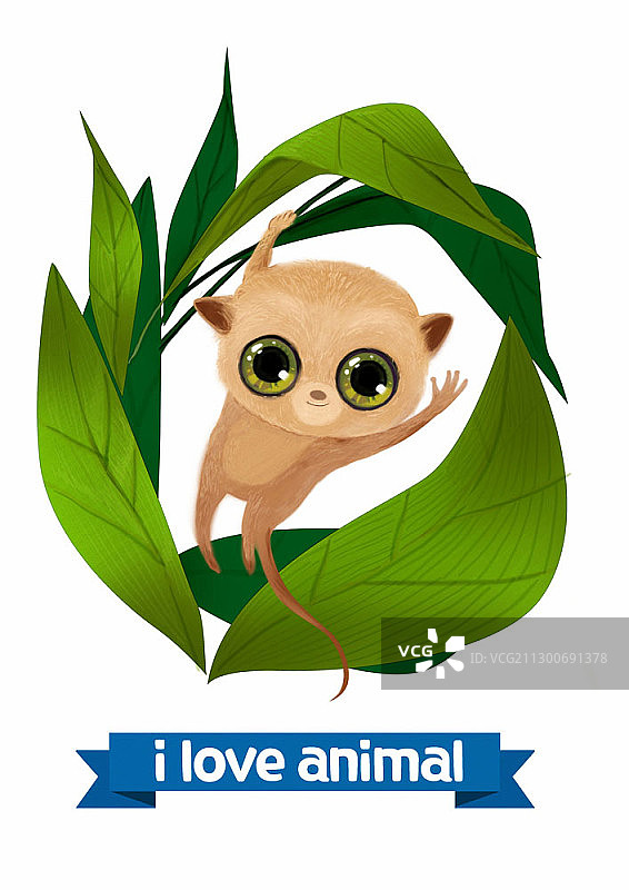 眼镜猴挂在绿叶框架上的插图图片素材