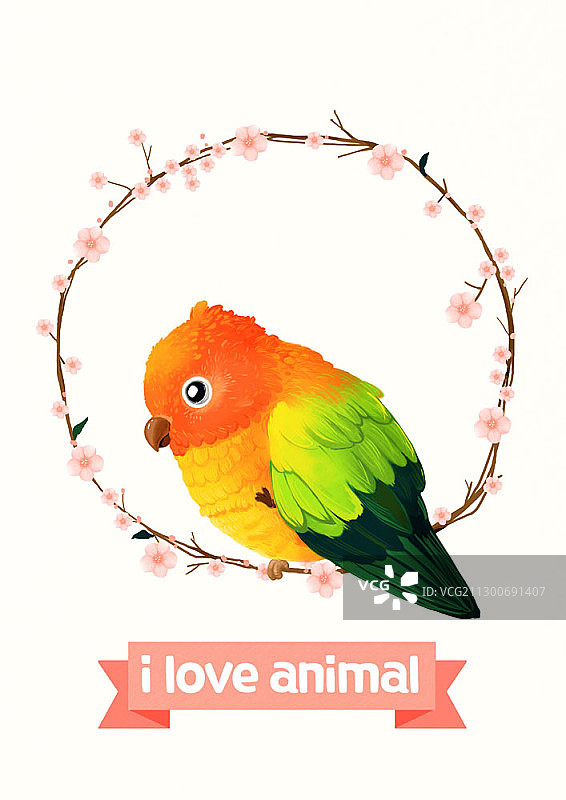 悬挂在粉色花朵框架上的鹦鹉插画图片素材