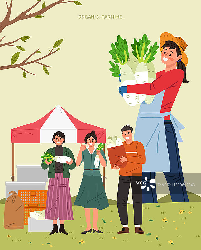 农民收割白萝卜和顾客矢量插画图片素材