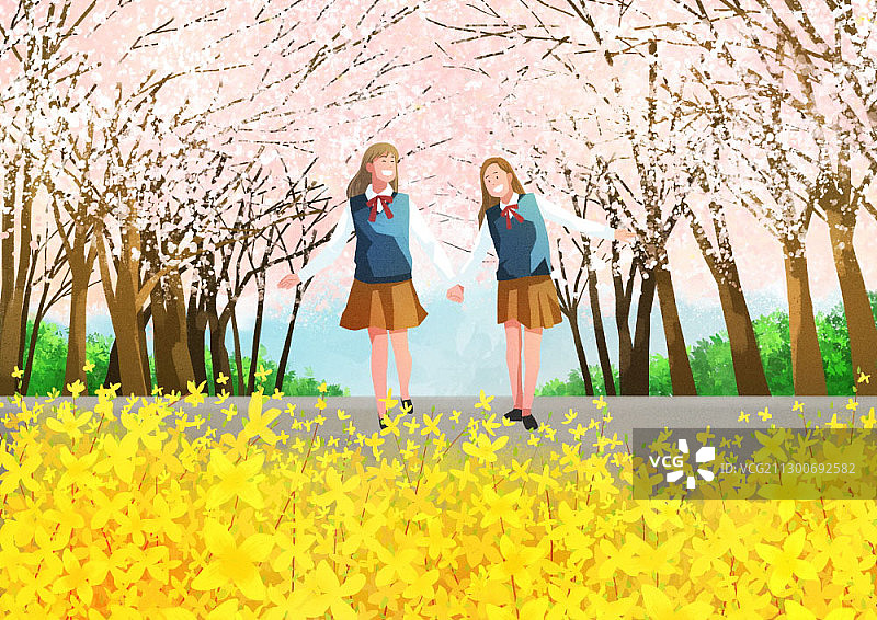 两名高中女生走在盛开的连翘和樱花树下图片素材
