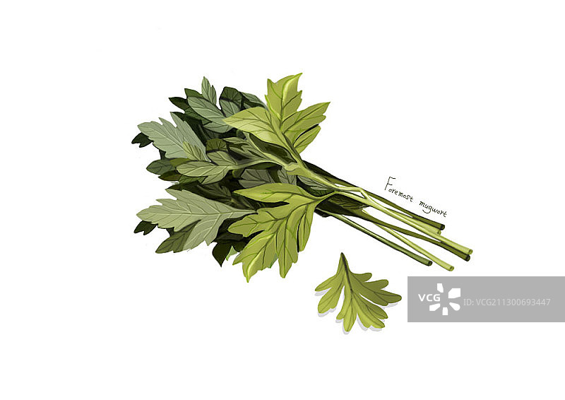 魔鬼灌木插画图片素材