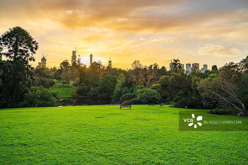 墨尔本皇家植物园日落全景图片素材