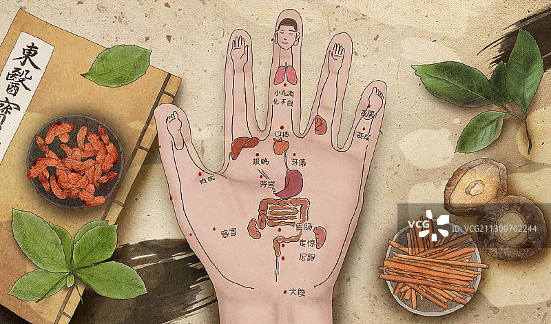 与器官相关的手部针灸穴位图片素材