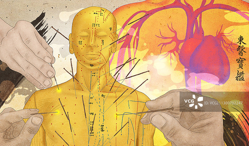 与心脏相关的身体穴位图片素材